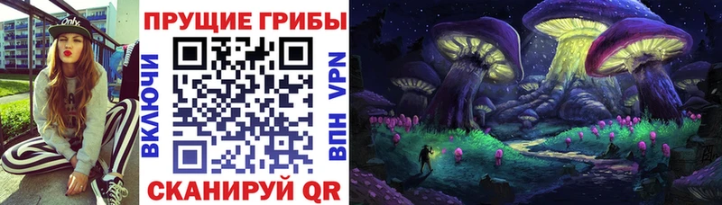 Псилоцибиновые грибы мухоморы  даркнет сайт  hydra ссылки  Аркадак 